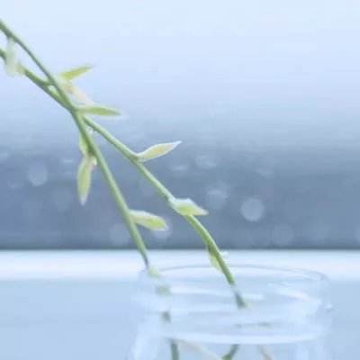 现代出击online内购破解版下载